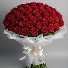 Букет 101 Красная роза Блэк Мэджик в Красный Яр Самарская область
