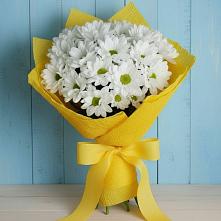 Букет цветов из:  Хризантемы в Красный Яр Самарская область