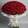 Букет 101 Красная роза Блэк Мэджик в Красный Яр Самарская область