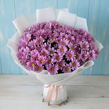 Букет цветов из:  Хризантемы в Красный Яр Самарская область