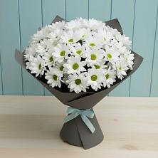 Букет цветов из:  Хризантемы в Красный Яр Самарская область