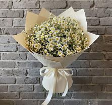 Букет цветов из:  Ромашки #REPLACE_PRED# Красный Яр Самарская область