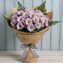 Букет цветов из:  Хризантемы в Красный Яр Самарская область