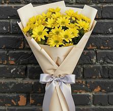 Букет цветов из:  Хризантемы в Красный Яр Самарская область
