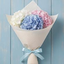 Букет цветов из:  Гортензия в Красный Яр Самарская область