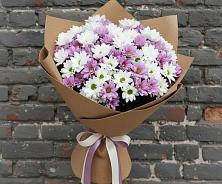 Букет цветов из:  Хризантемы #REPLACE_PRED# Красный Яр Самарская область