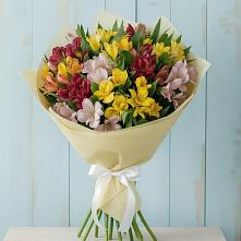 Букет цветов из:  Альстромерии в Красный Яр Самарская область