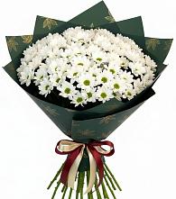 Букет цветов из:  Хризантемы в Красный Яр Самарская область