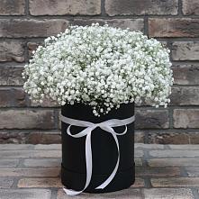 Цветочная композиция из Гипсофила в шляпной коробке #REPLACE_PRED# Красный Яр Самарская область