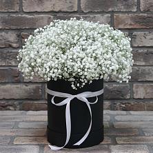 Цветочная композиция из Гипсофила в шляпной коробке в Красный Яр Самарская область