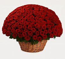 Премиум букет из: Розы в Красный Яр Самарская область