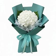 Букет цветов из:  Гортензия в Красный Яр Самарская область